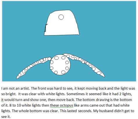 Michigan ufo