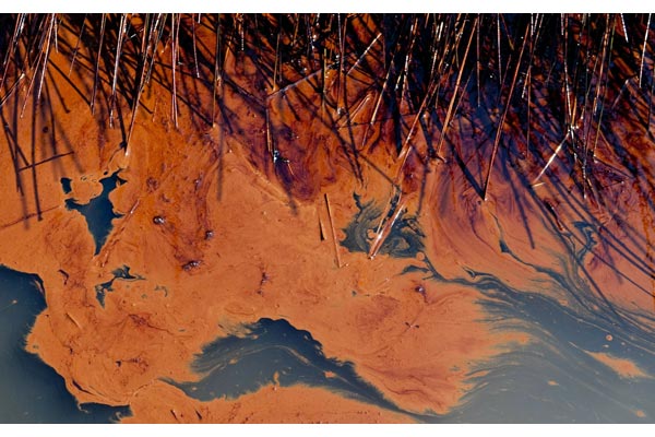 Click to enlarge Thick oil