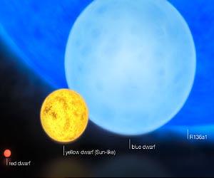 Click to enlarge Image