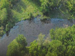 Kalamazoo River