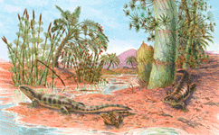 Reptiles_1