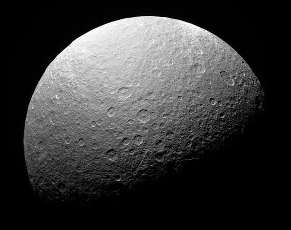 Click to enlarge Rhea