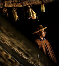 Click to enlarge khipus - strands of knotted cords Inca