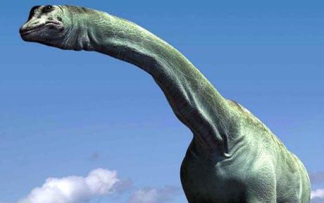 Dinosaur