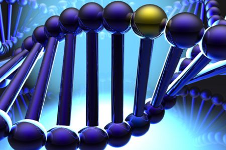 DNA