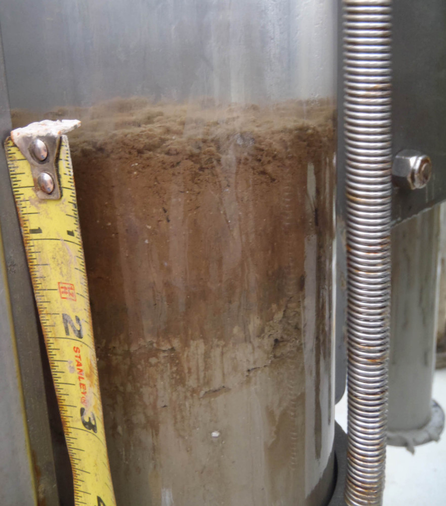 gulf oil spill core sample