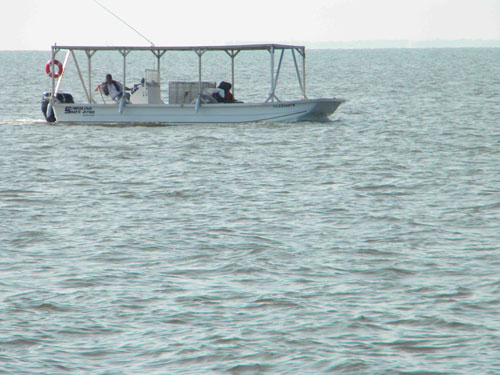 Click to enlarge Image
