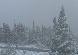 snow,montana