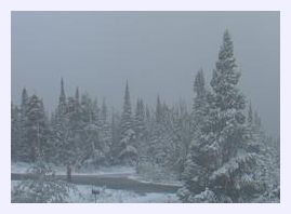 snow,montana