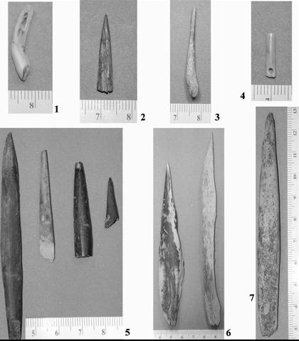 Neanderthal_1