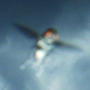 Click to enlarge UFO_2
