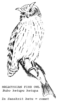 Click to enlarge Image
