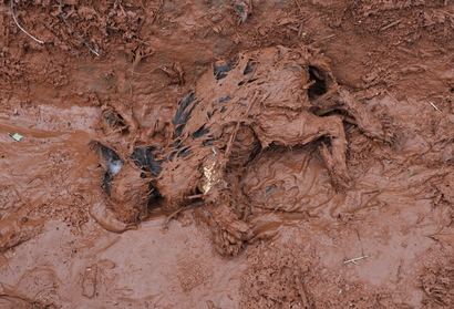 toxic red sludge