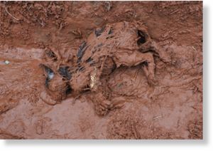 toxic red sludge