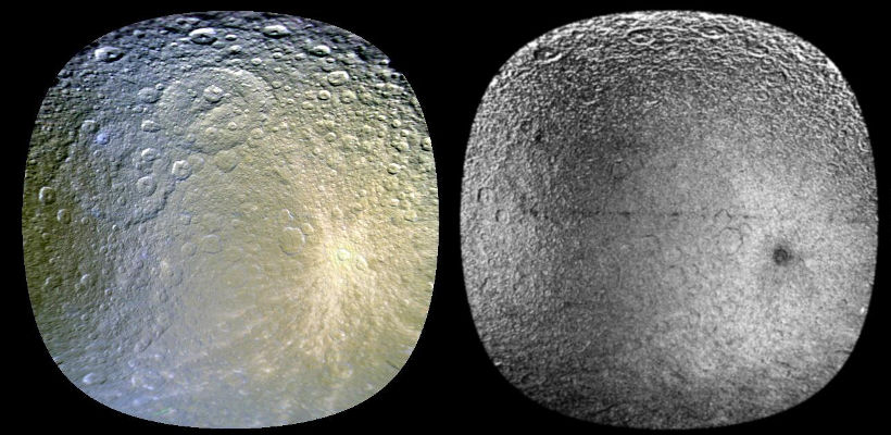 Click to enlarge Rhea