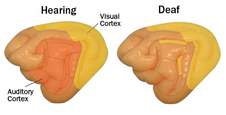 Click to enlarge Image