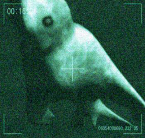 ningen