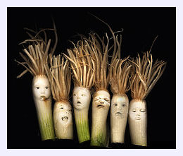 GMO Food