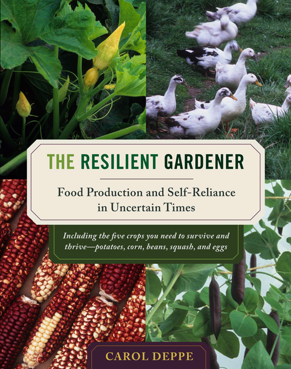 the resiliant gardener