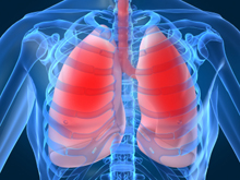 Lungs Can Taste