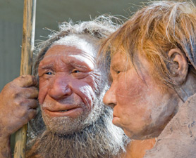 Click to enlarge Neanderthals and Humans