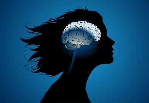 woman,brain