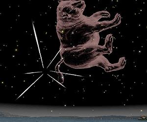 Comet Hartley 2