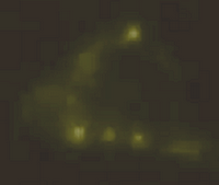 Click to enlarge ufo,turkey