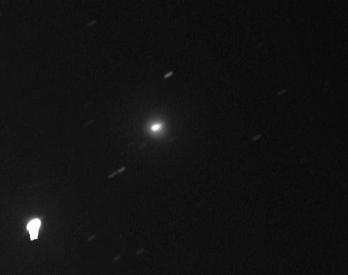 Comet Ikeya-Murakami