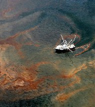 oil,shrimp,boat