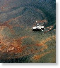 oil,shrimp,boat