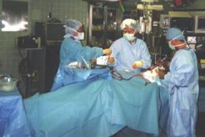 Click to enlarge transplant operation