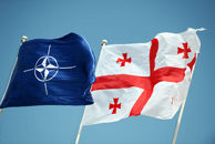 georgia nato