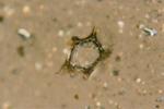 Ice Meteorite_3