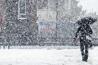 Click to enlarge Mini Ice Age