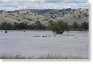NSW Floods