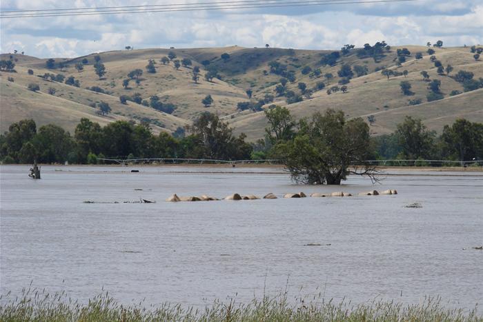 NSW Floods