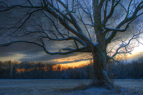 Winter sunset