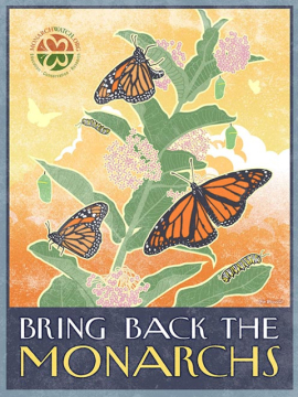 Click to enlarge Monarch Butterflies_2