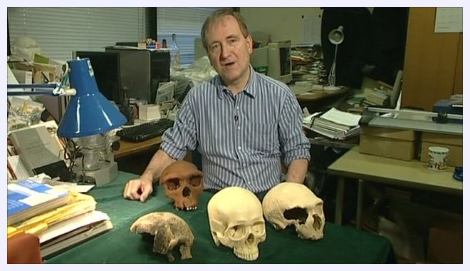 The Complete World of Human Evolution by Chris Stringer The Complete World of Human Evolution by Chris Stringer