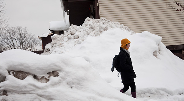 snow bank