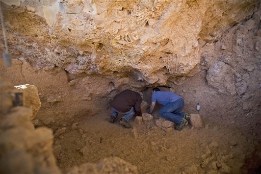 Click to enlarge Ancient Human Discovered_1