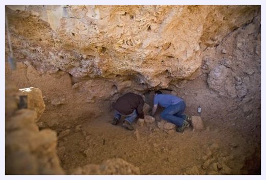 Click to enlarge Ancient Human Discovered_1
