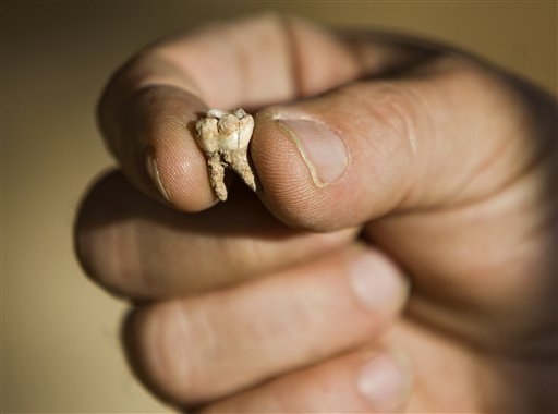 Ancient Human Discovered_3