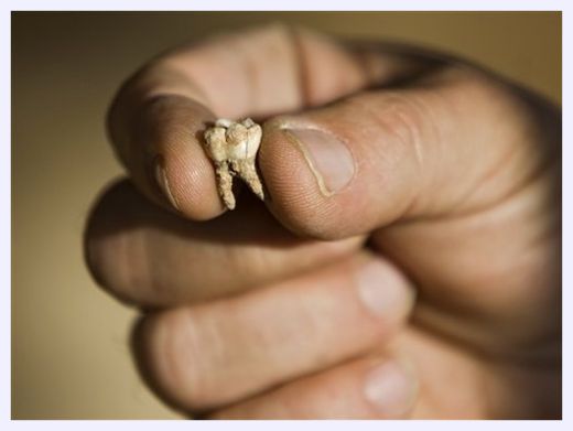 Click to enlarge Ancient Human Discovered_3