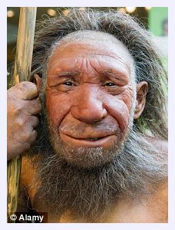 Click to enlarge Neanderthal