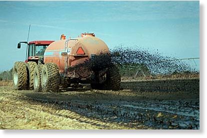 pharmaceuticals from sewage sludge