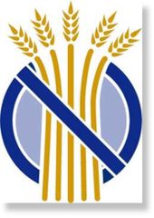no gluten