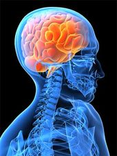 illumined brain graphic