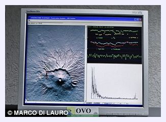 Campi Flegrei_6